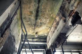 Mold Remediation for Rental Properties in Marquette Heights, IL